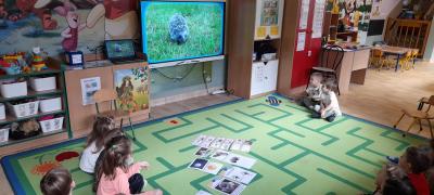 Zdjęcie WhatsApp 2025-11-13 o 15.47.21_1f848a67.jpg