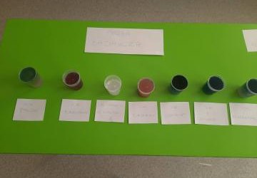 Witamina C - badanie zawartości